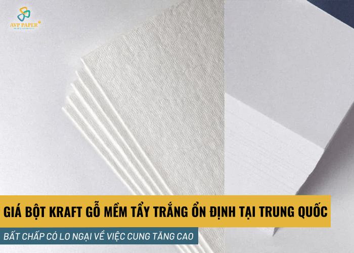 Giá bột Kraft gỗ mềm tẩy trắng ổn định tại Trung Quốc bất chấp có lo ngại về việc cung tăng cao